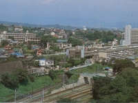 天守閣からみた城山方面の市街地