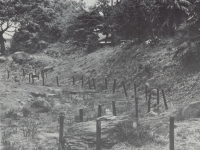 早川口二重遺構に残る外郭土塁