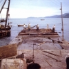 小田原漁港工事の過程(1枚目)写真を拡大表示する