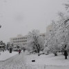 小田原市役所雪景色(1枚目)写真を拡大表示する