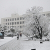 小田原市役所雪景色(2枚目)写真を拡大表示する