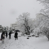 小田原市役所雪景色(3枚目)写真を拡大表示する