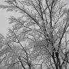 小田原市役所雪景色(5枚目)写真を拡大表示する