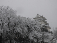 小田原城雪景色