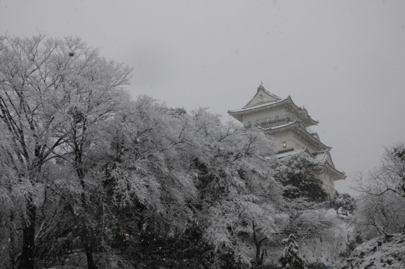 小田原城雪景色