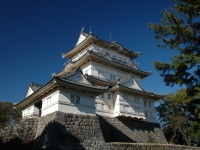 小田原城天守閣と濃い青空