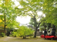 松永記念館茶会