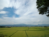 栢山の田園風景