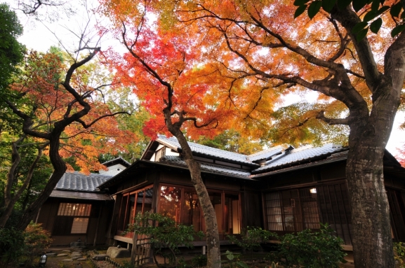 松永記念館の紅葉