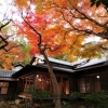 松永記念館の紅葉(1枚目)写真を拡大表示する