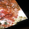 松永記念館の紅葉(2枚目)写真を拡大表示する