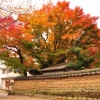 松永記念館の紅葉(5枚目)写真を拡大表示する