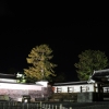 小田原城ライトアップ(1枚目)写真を拡大表示する
