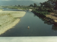 酒匂川の鮎釣り