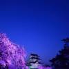 小田原城夜桜ライトアップ(1枚目)写真を拡大表示する