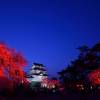 小田原城夜桜ライトアップ(2枚目)写真を拡大表示する