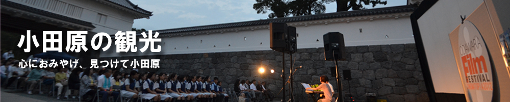 小田原城とその周辺