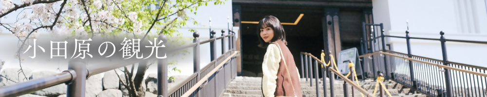 小田原城とその周辺