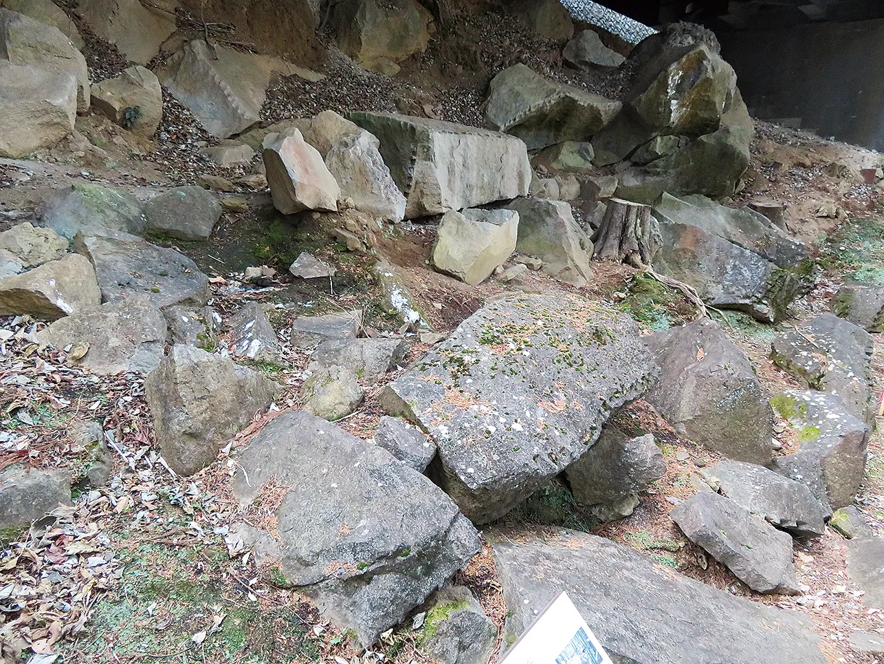 江戸城石垣石丁場跡（石材の加工場跡に残る大小の石塊）