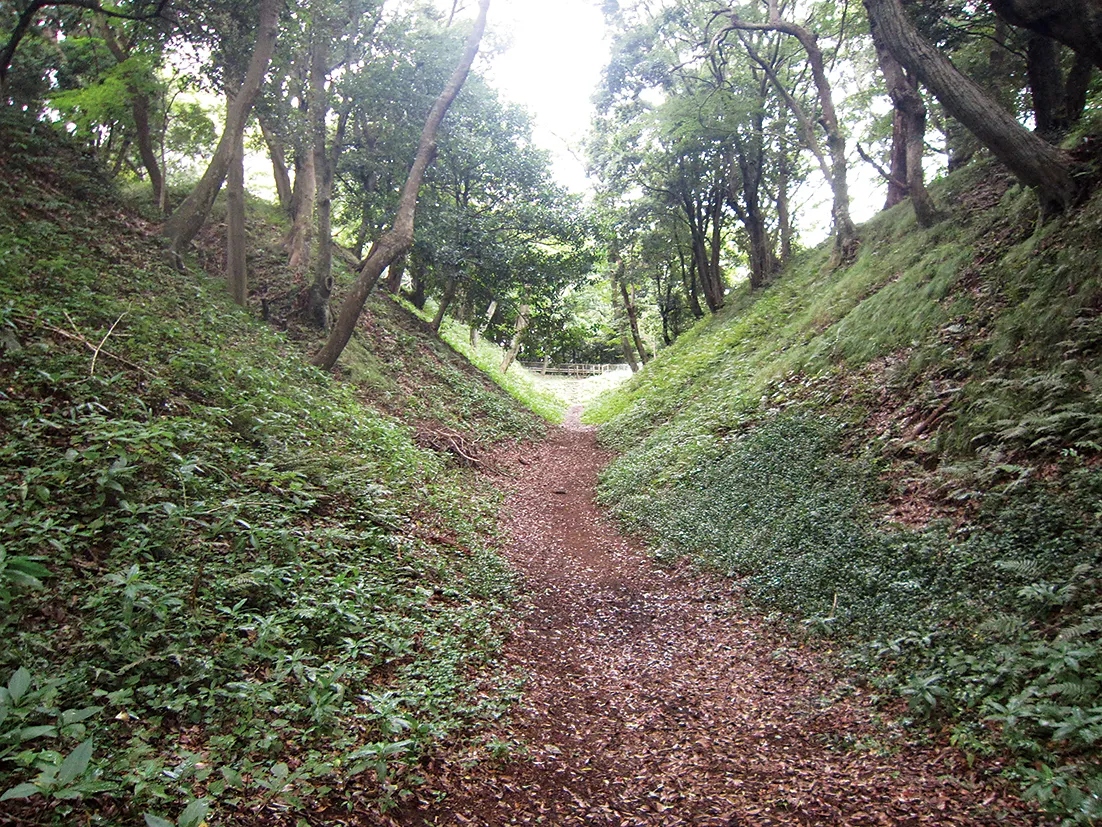 小峯御鐘ノ台大堀切東堀（深い堀切が続く遺構）