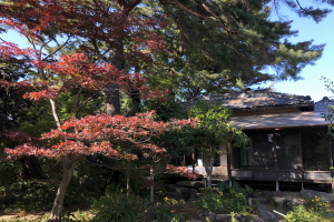 旧松本剛吉別邸