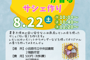 中央図書館 小田原産レモンが香るサシェ作り【開催案内】