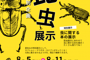 中央図書館　夏休み特別企画「昆虫展示」