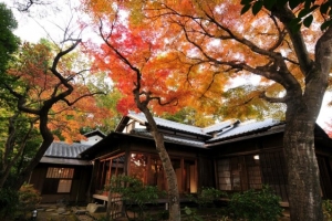 『拾華春秋』―松永記念館はなごよみ