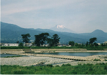 酒匂川の写真