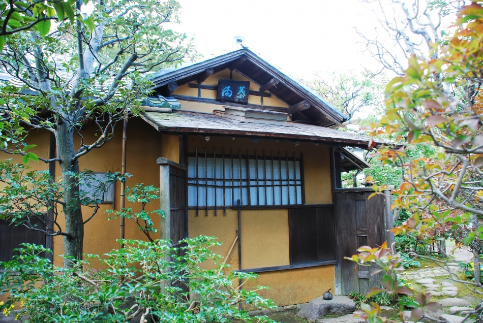 葉雨庵