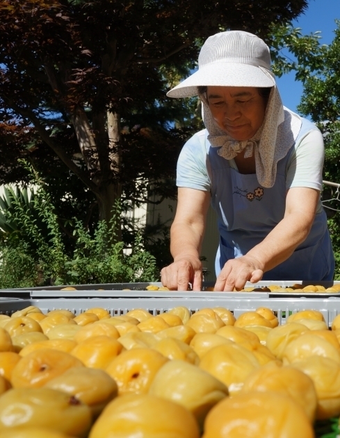 土用干し1日目