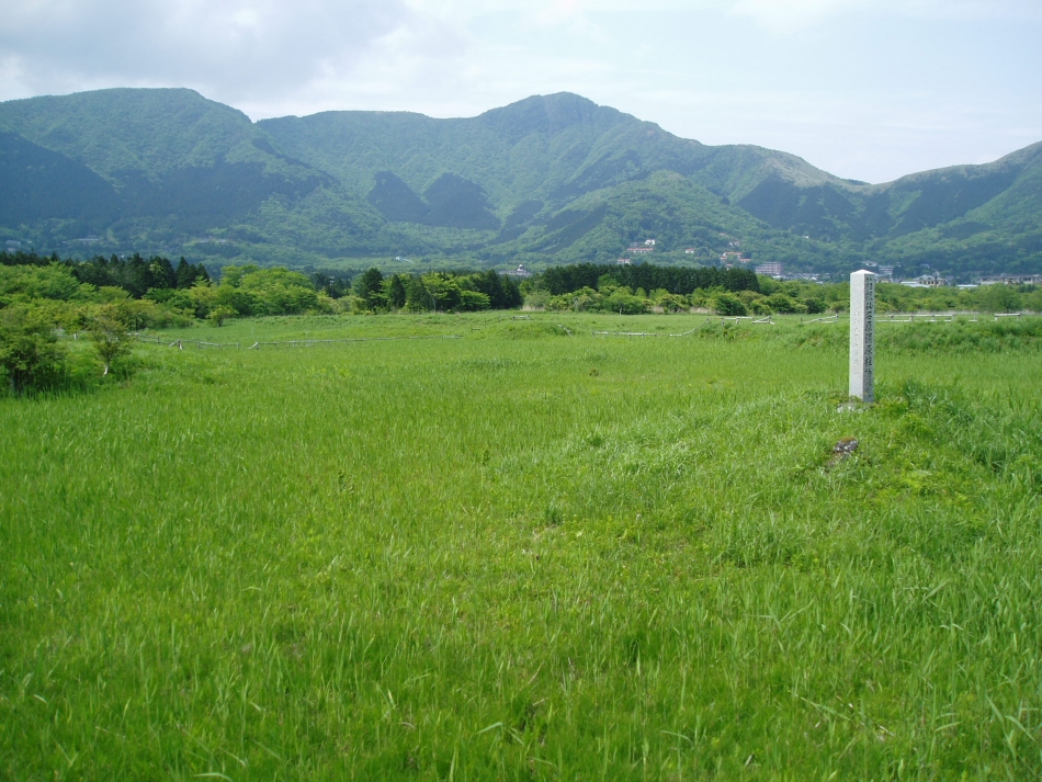 仙石原湿原