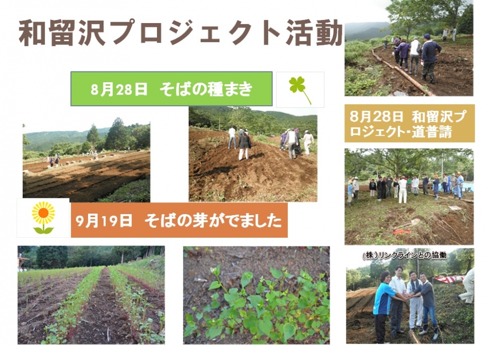 和留沢プロジェクト活動