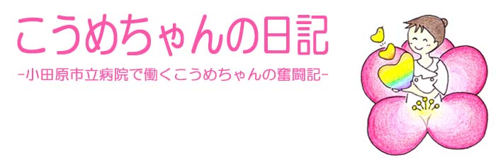 こうめちゃんの日記ヘッダー