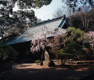 早雲寺　本堂