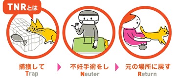 TNR活動の画像