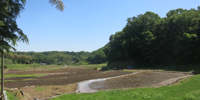 沼代棚田写真