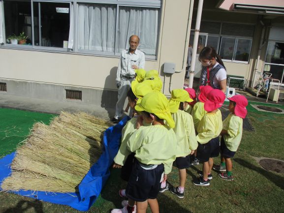 いただいた藁をみんなで運びました。
