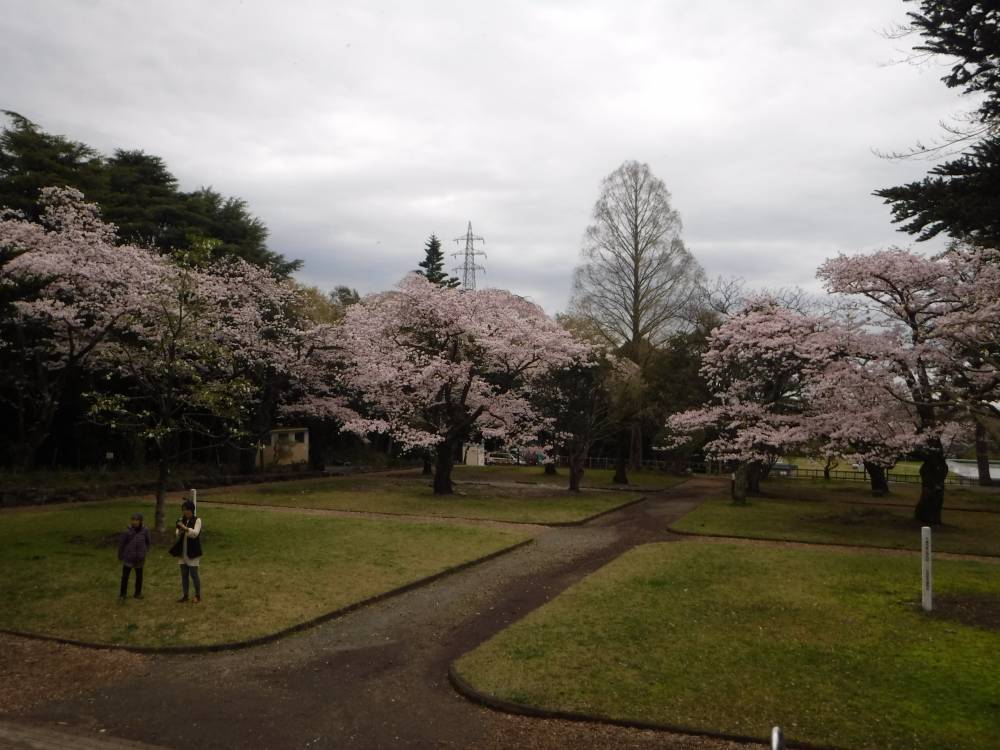 公園 城山