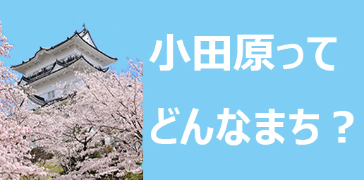 小田原がどんな街なのか次のページへ