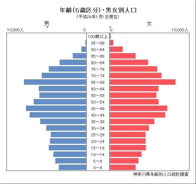 人口ピラミッド