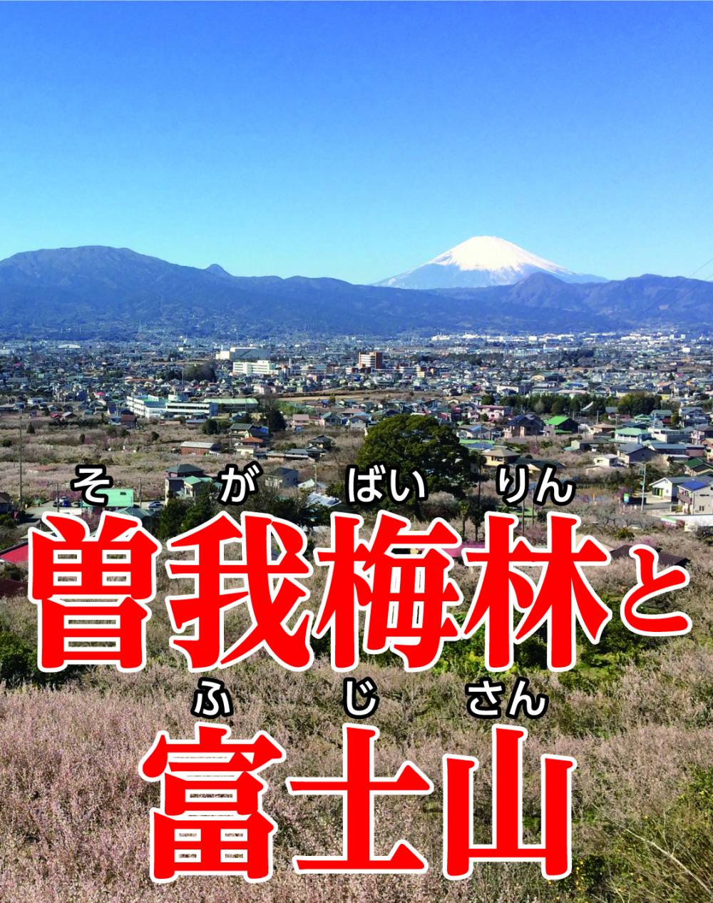 曽我梅林と富士山