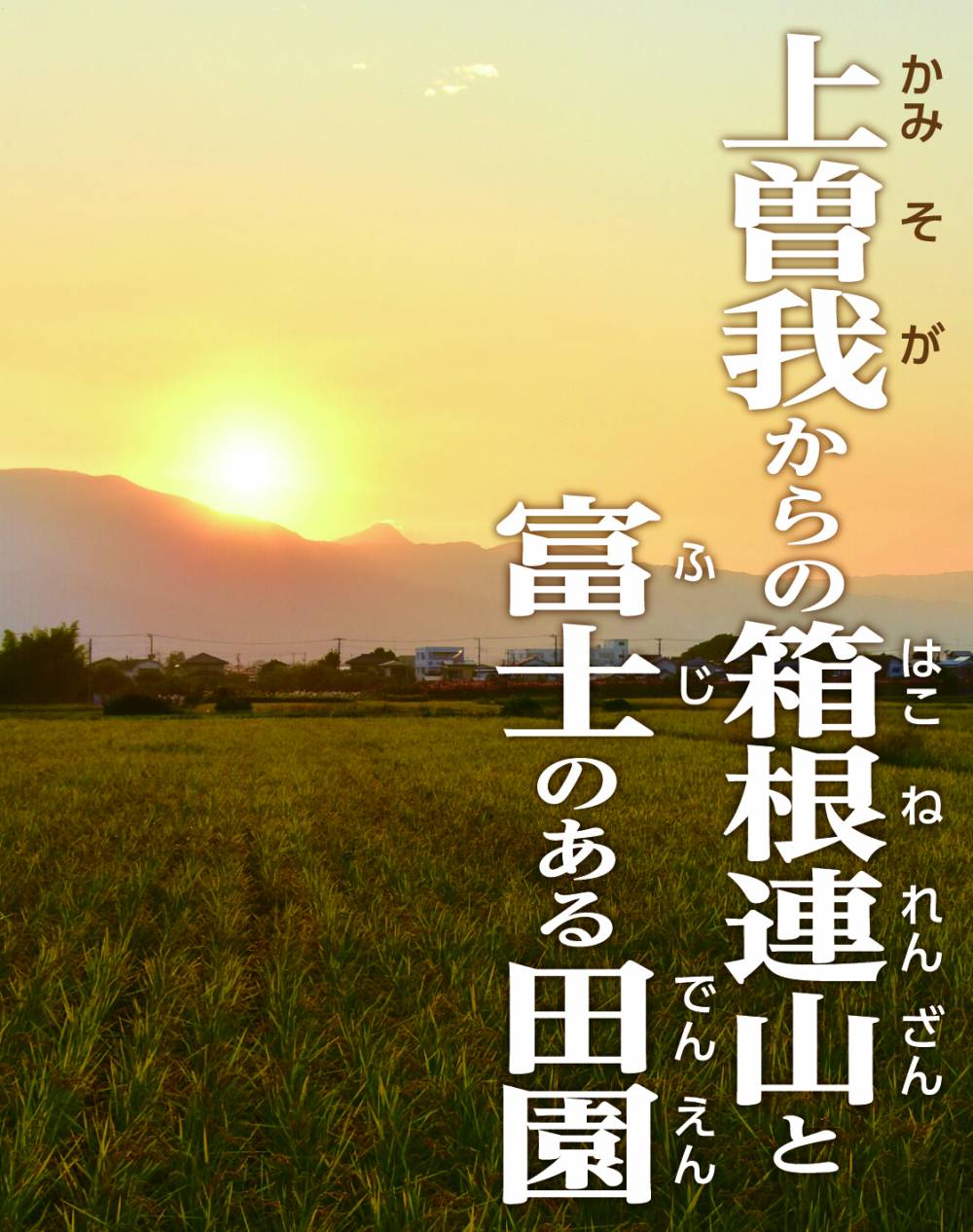 上曽我からの箱根連山と富士のある田園