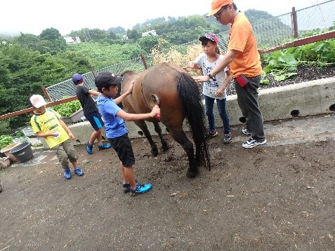 うま