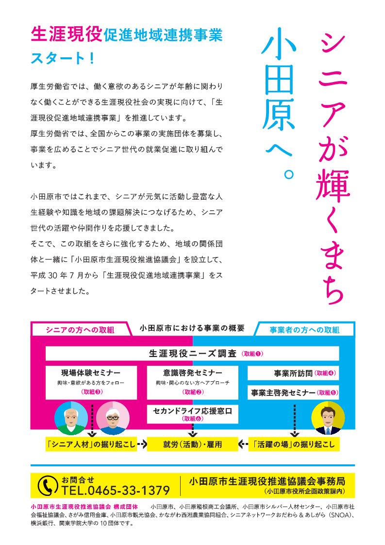 チラシ(裏)