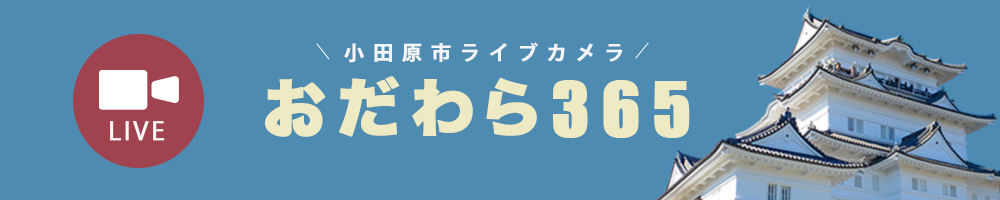 ライブカメラへのリンク