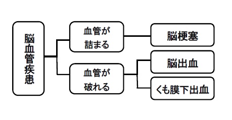 脳血管疾患の主な種類