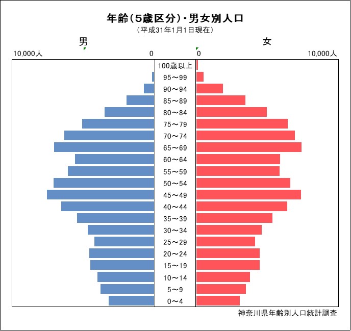 人口ピラミッド