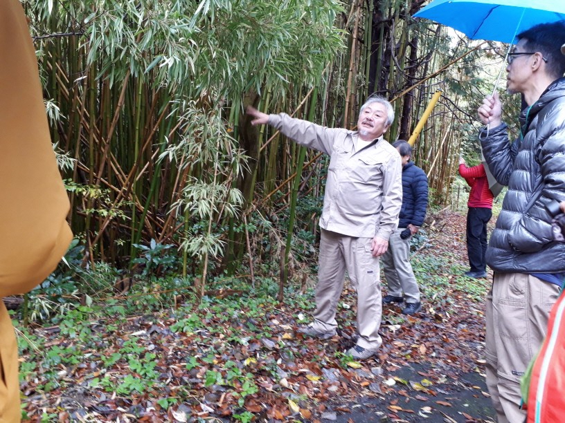 荒廃竹林の現場を見る