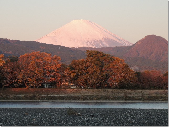 酒匂川